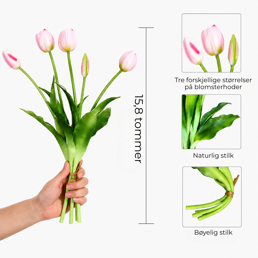 TulipanLykke™ | Naturtro tulipaner