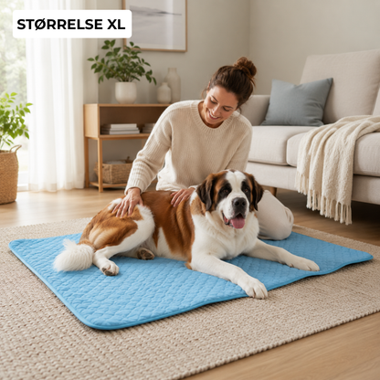 ChillPaw™ | Kjølematte for hund