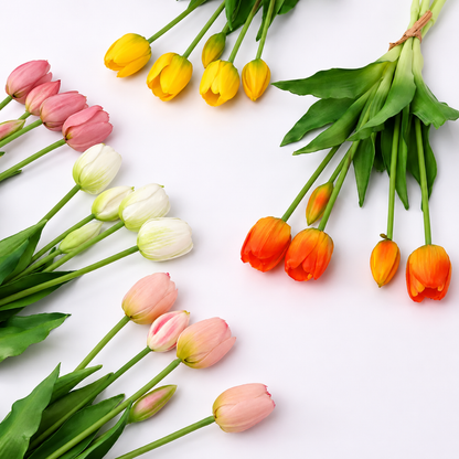 TulipanLykke™ | Naturtro tulipaner