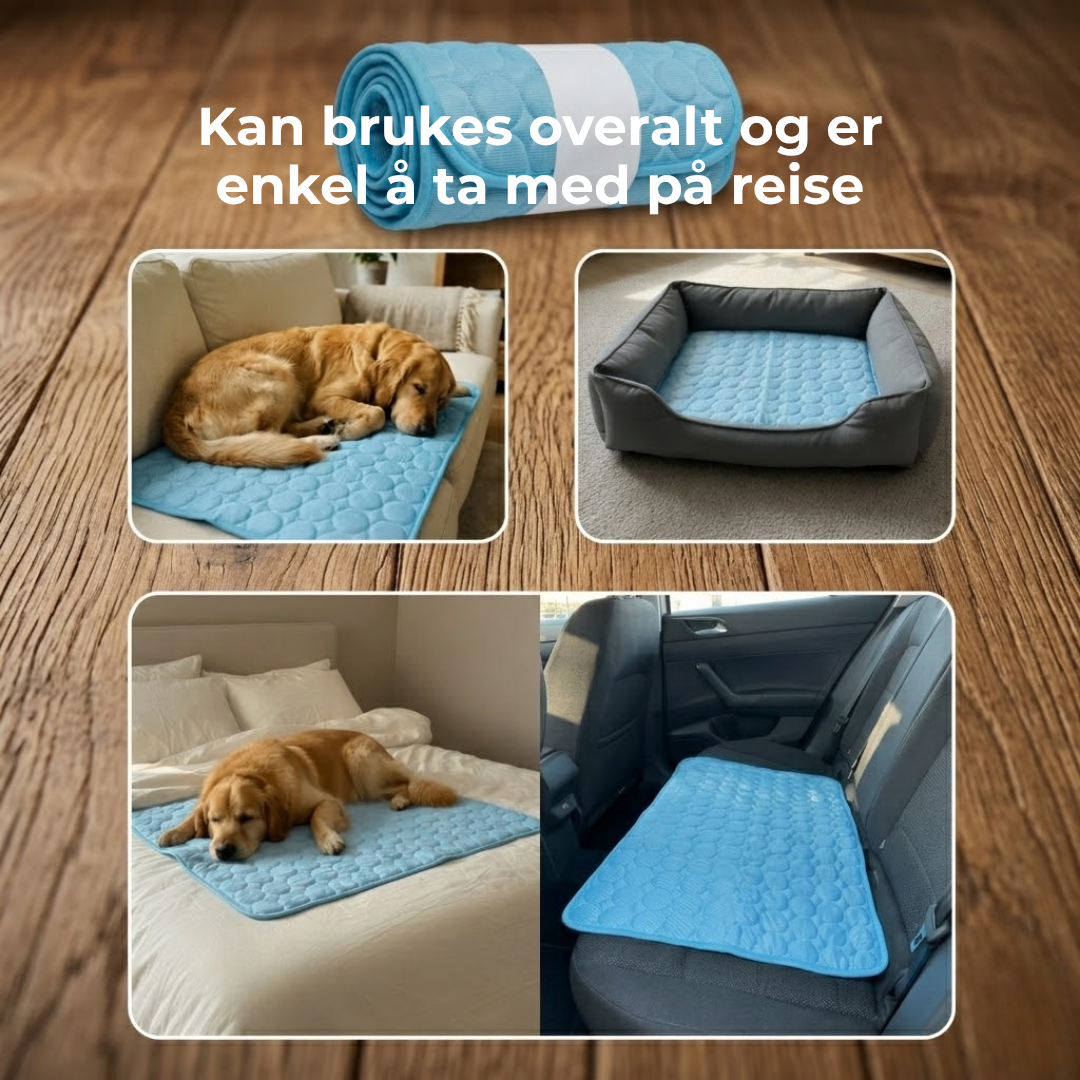 ChillPaw™ | Kjølematte for hund