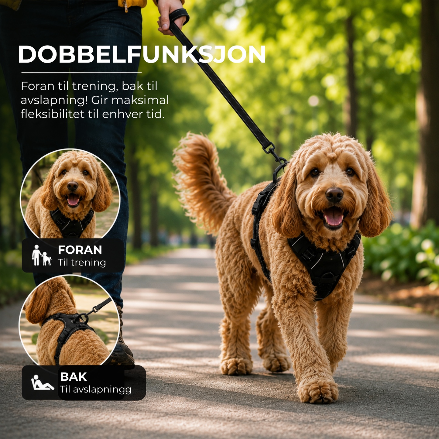 KomfortSele™ | Bedre kontroll. Roligere hundeturer