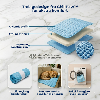 ChillPaw™ | Kjølematte for hund