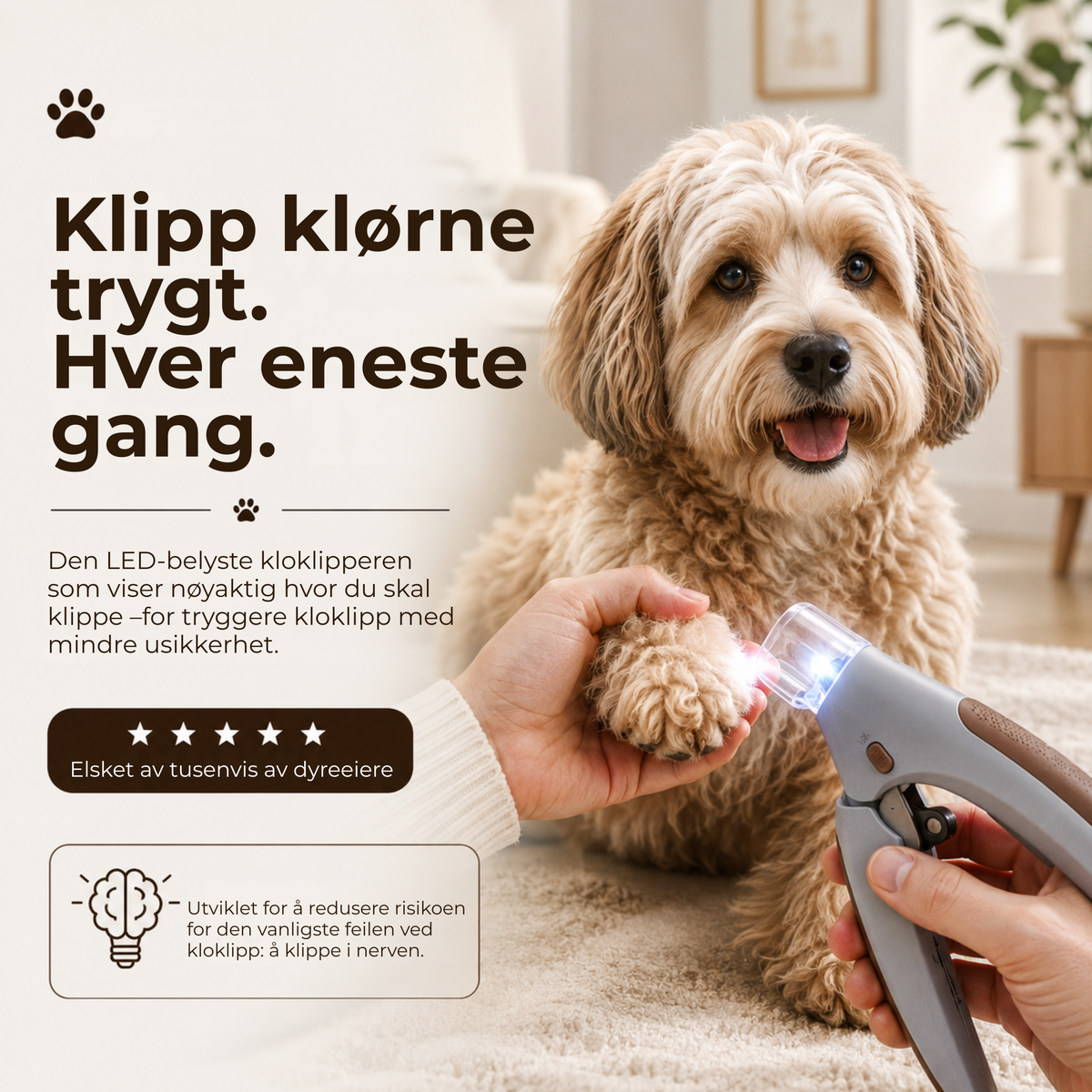 PoteKlipp™ | LED-klotang med forstørrelsesglass for hunder og katter
