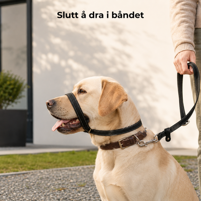 CalmLead™ | Hold kontroll på den store hunden din – trygt og enkelt!