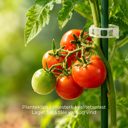 PlanteKlype™ | Gjenbrukbare støtteklemmer for hageplanter