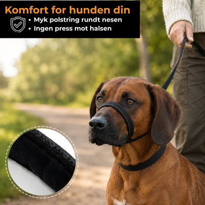 CalmLead™ | Hold kontroll på den store hunden din – trygt og enkelt!