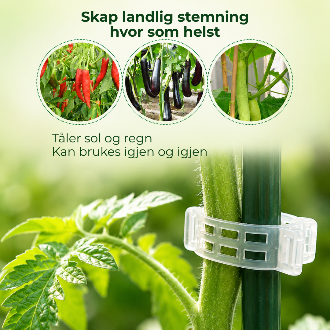 PlanteKlype™ | Gjenbrukbare støtteklemmer for hageplanter