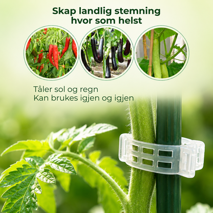 PlanteKlype™ | Gjenbrukbare støtteklemmer for hageplanter