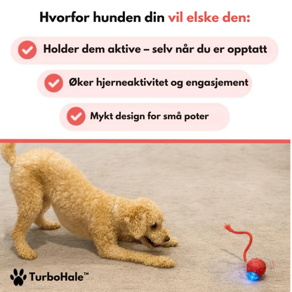 TurboHale™ | Lek som holder hunden aktiv – selv når du ikke er hjemme