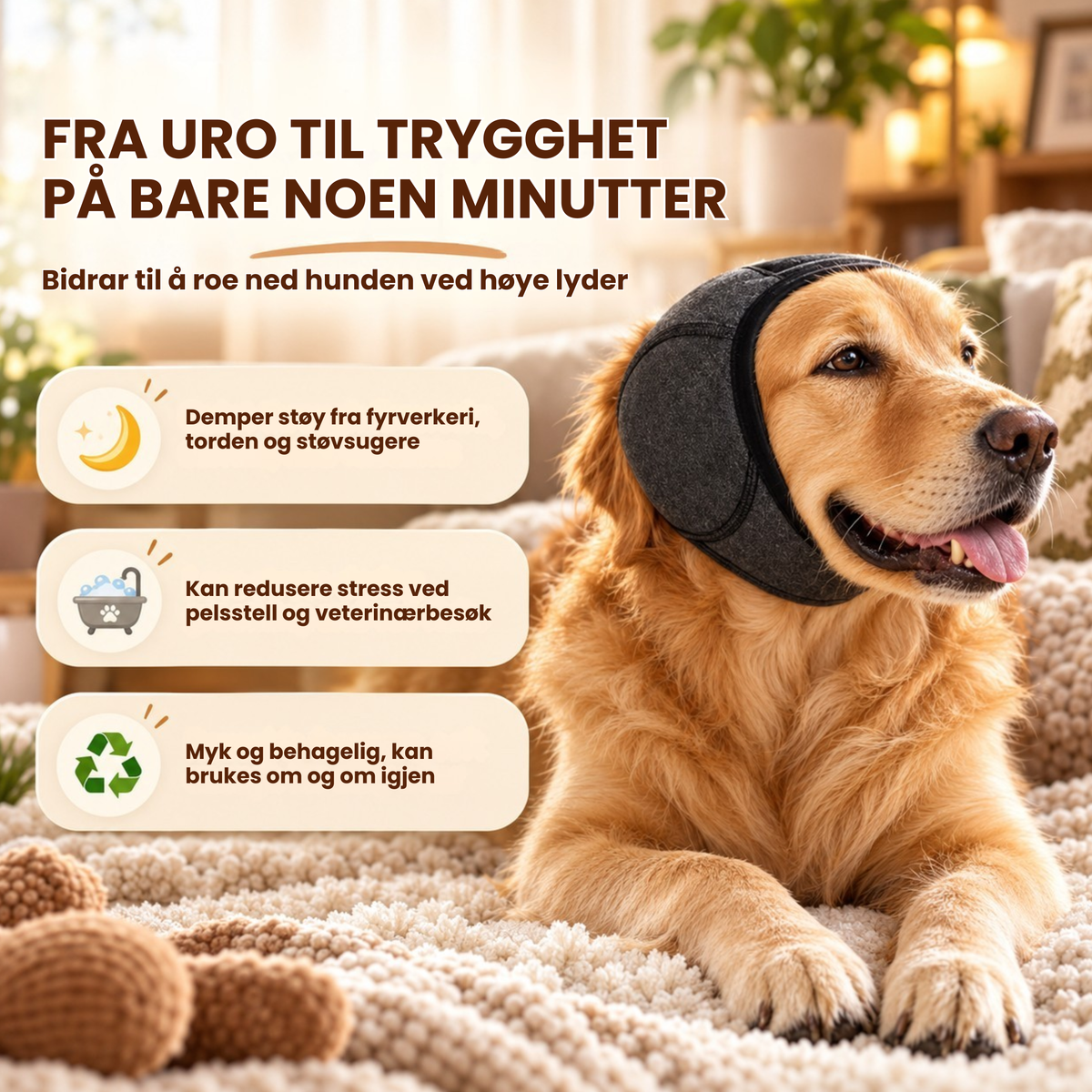 PoteStill™ | Hjelp hunden å føle seg tryggere ved høye lyder