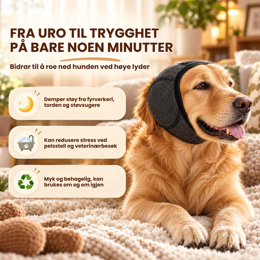 PoteStill™ | Hjelp hunden å føle seg tryggere ved høye lyder