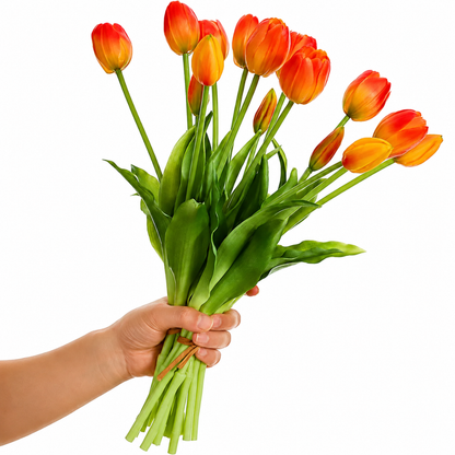 TulipanLykke™ | Naturtro tulipaner