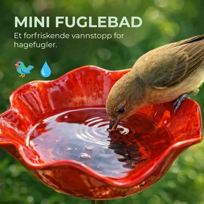 BloomHaven™ | Vannstasjon for fugler og pollinatorer