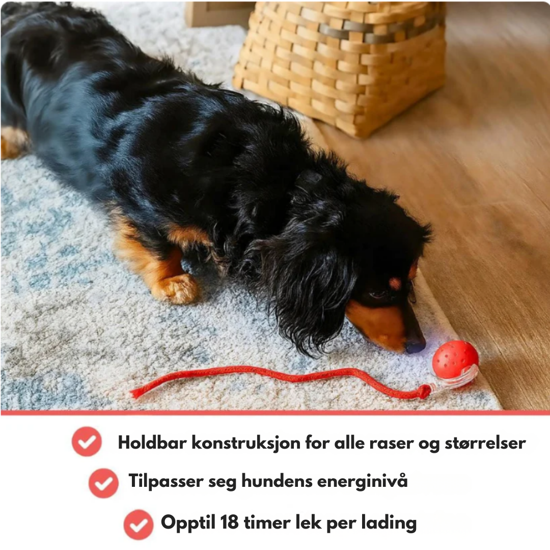 TurboHale™ | Lek som holder hunden aktiv – selv når du ikke er hjemme