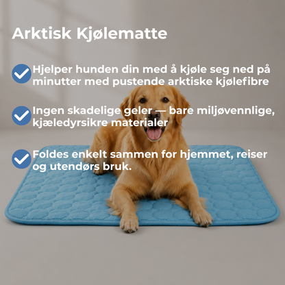 ChillPaw™ | Kjølematte for hund