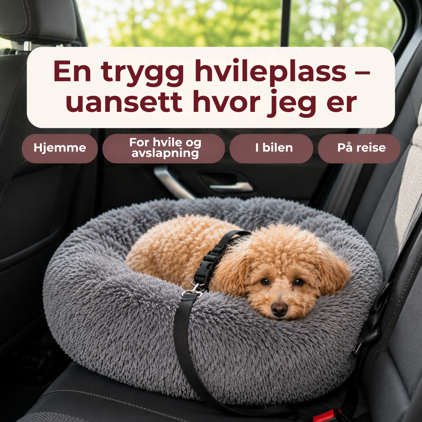 DonutSeng™ | Gi hunden en seng den faktisk vil bruke