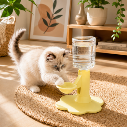 AquaRise™ | Mindre søl, enklere drikking for katten