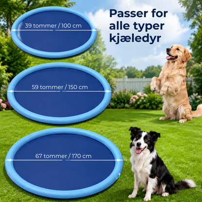 SplashPlay™| Hold hunden din avkjølt på varme sommerdager