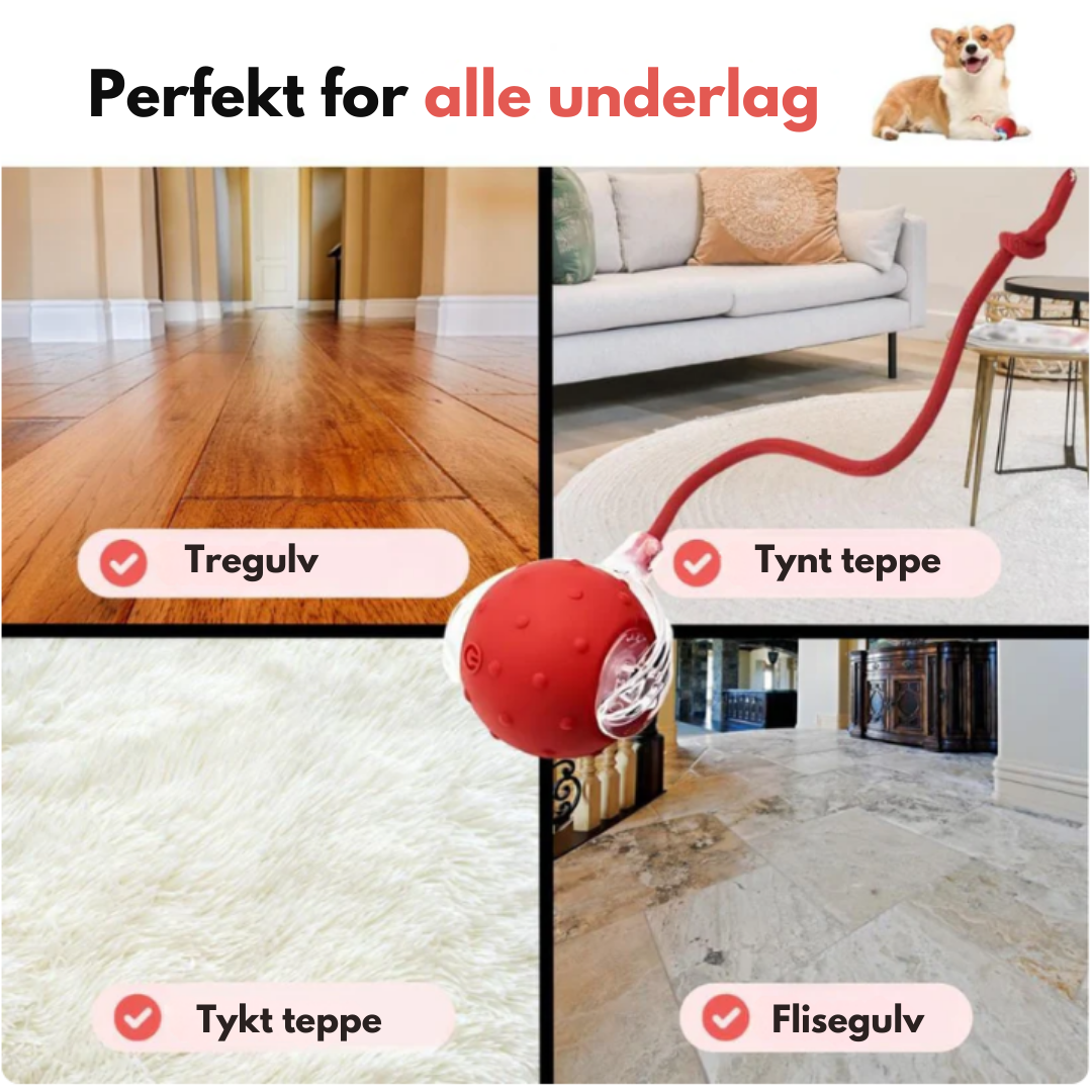 TurboHale™ | Lek som holder hunden aktiv – selv når du ikke er hjemme