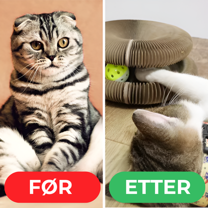 KattInstinkt™ | Går katten lei av leker på 5 minutter? Dette fikser det.