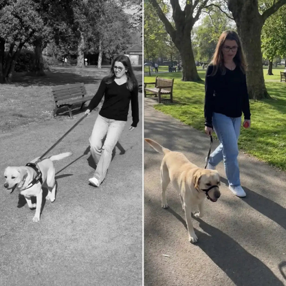 CalmLead™ | Hold kontroll på den store hunden din – trygt og enkelt!