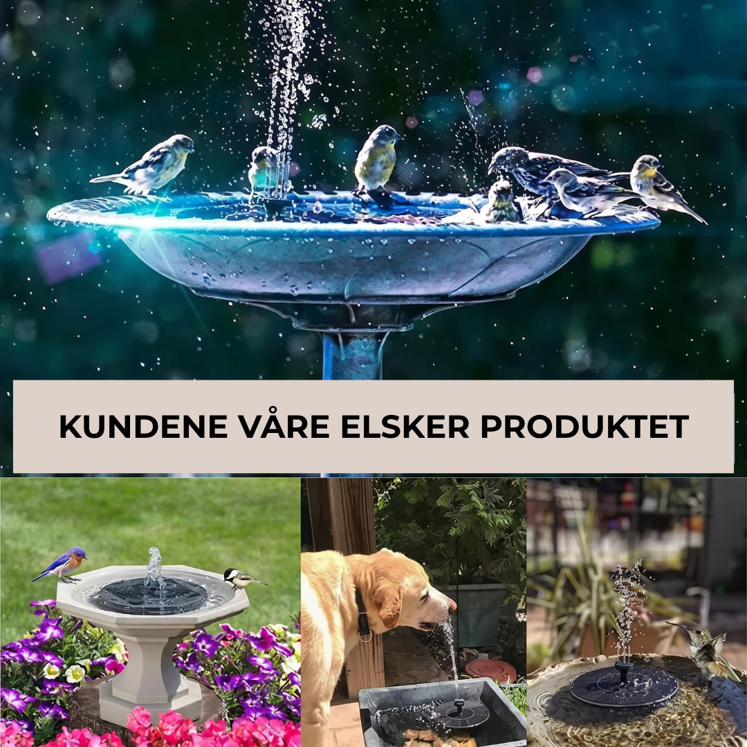FugleSprut™ | Solfontenen som får uteplassen til å føles levende