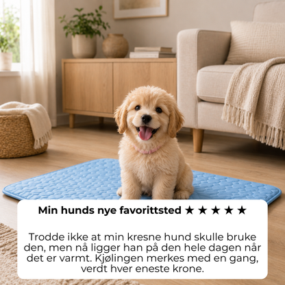 ChillPaw™ | Kjølematte for hund