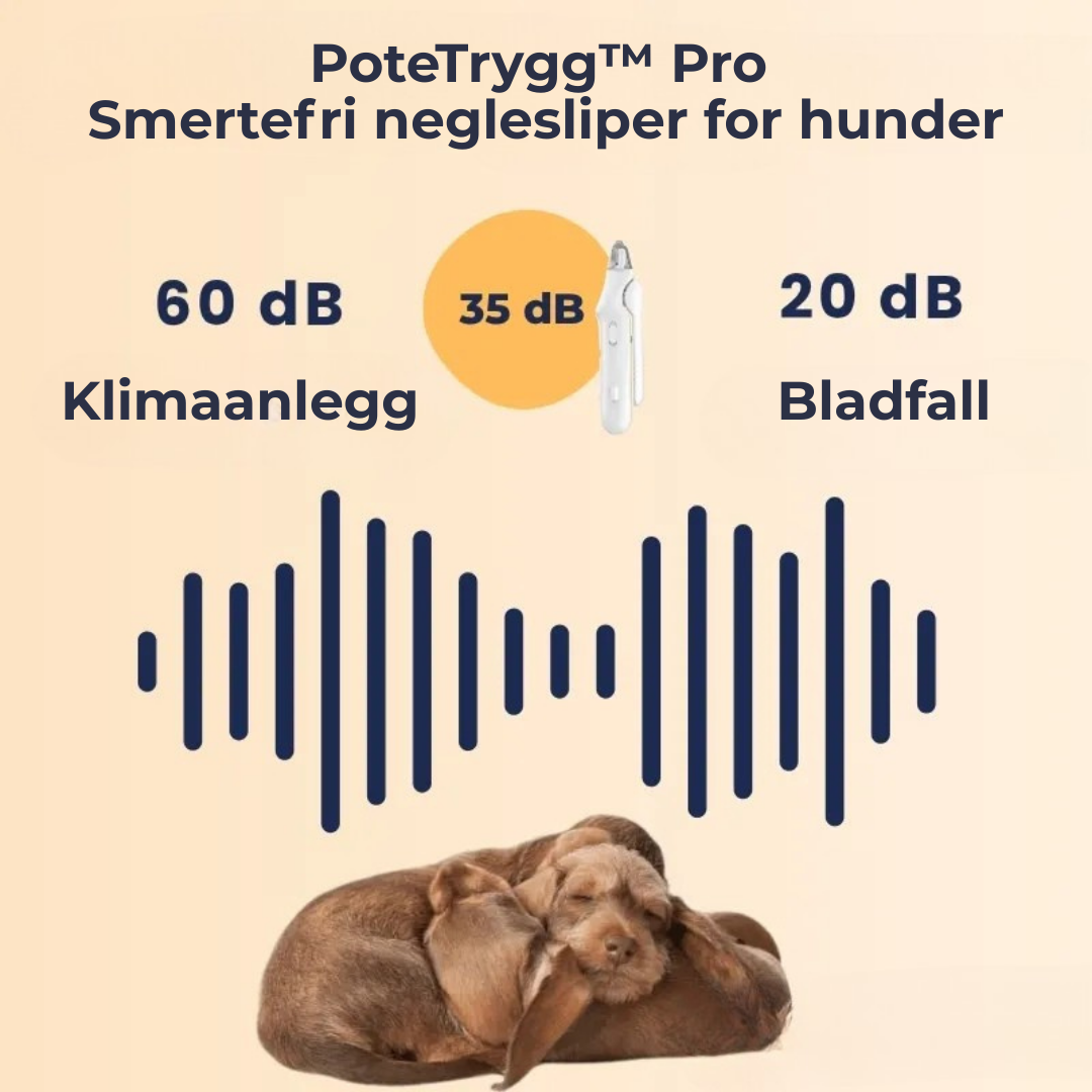 PoteTrygg™ Pro | 2-i-1 LED-klosaks for trygg potepleie uten frykt