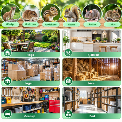 Fang & Slipp Musefelle™ | Fang musen levende – slipp den fri igjen