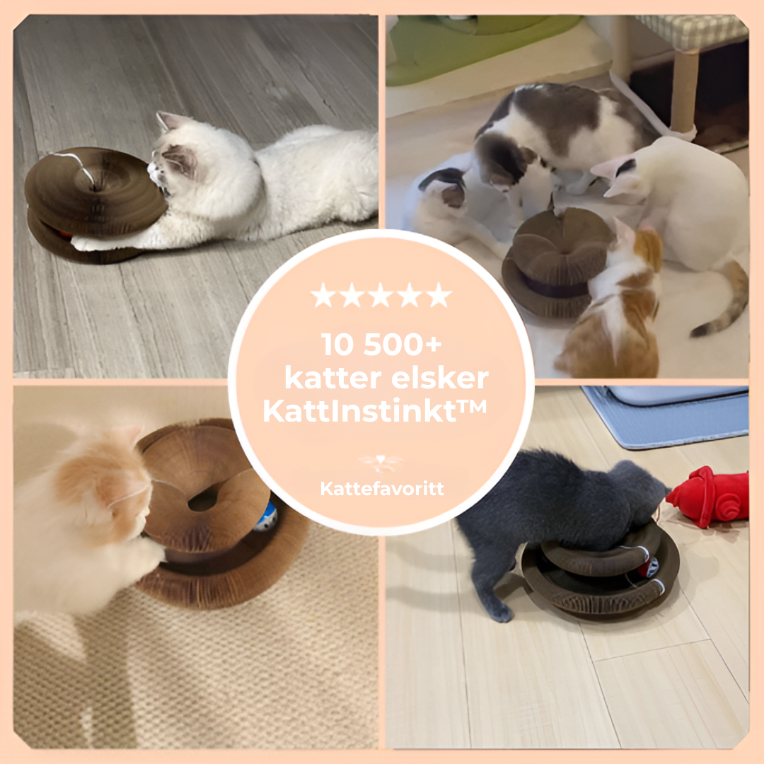 KattInstinkt™ | Går katten lei av leker på 5 minutter? Dette fikser det.