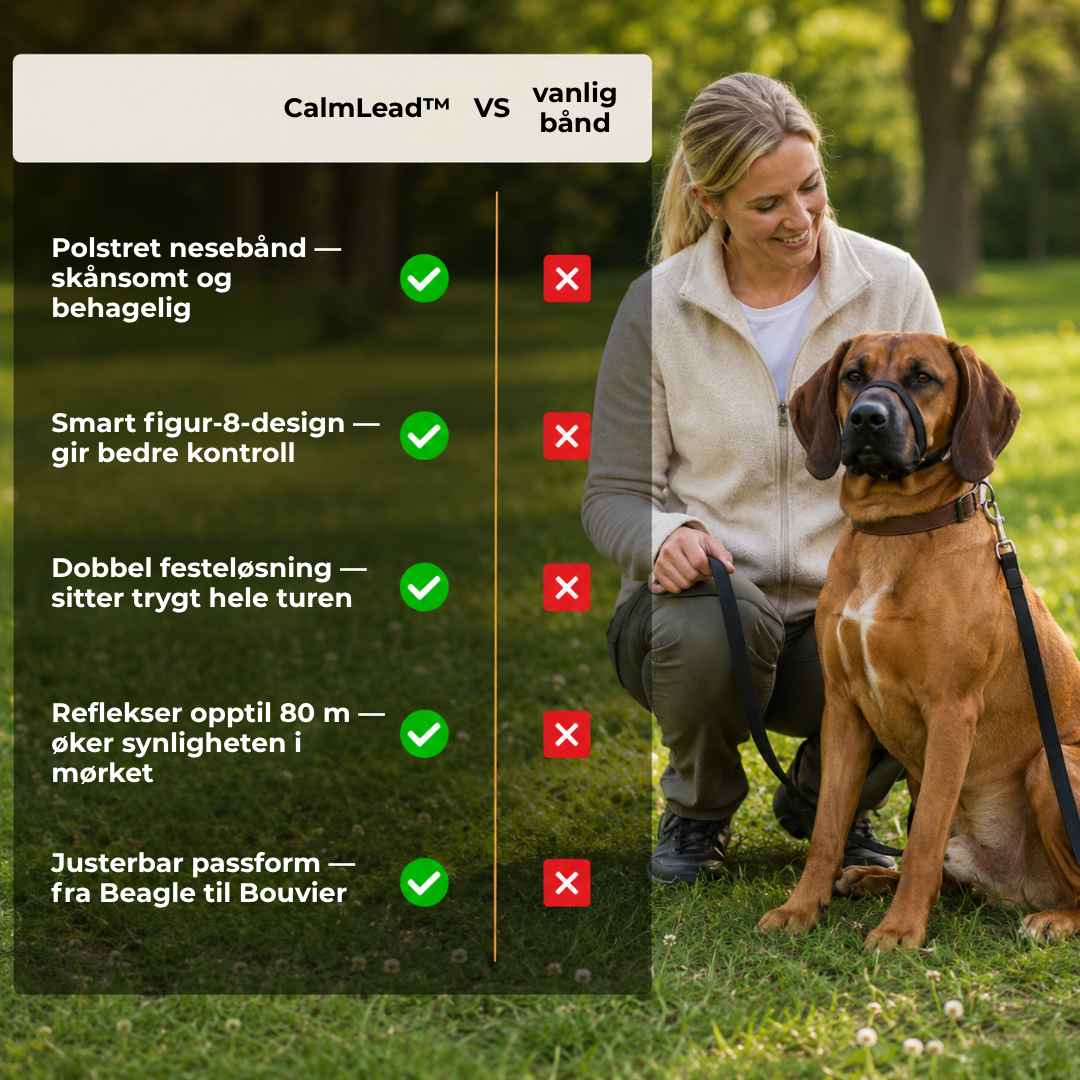 CalmLead™ | Hold kontroll på den store hunden din – trygt og enkelt!