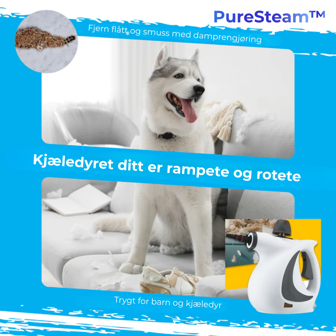 PureSteam™ MAX | Gjør Rent – Uten Kjemikalier. Bare Damp.