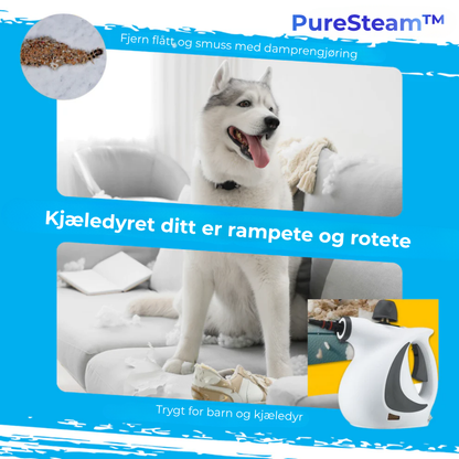 PureSteam™ MAX | Gjør Rent – Uten Kjemikalier. Bare Damp.