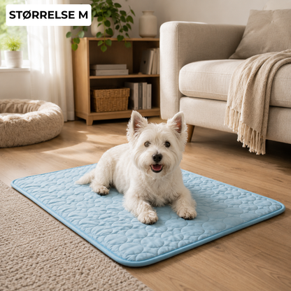 ChillPaw™ | Kjølematte for hund