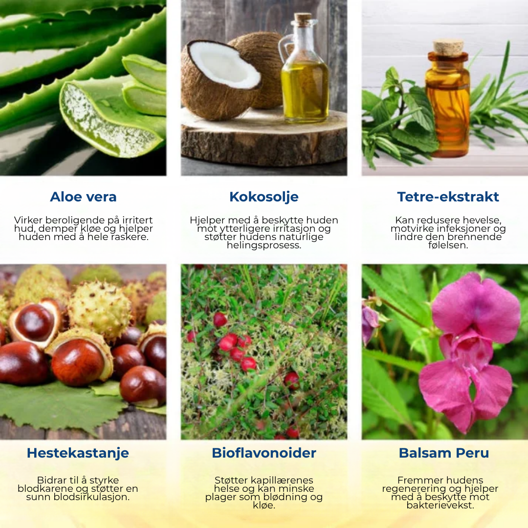 CalmEase™ | Hurtigvirkende, urtebasert spray mot hemoroider