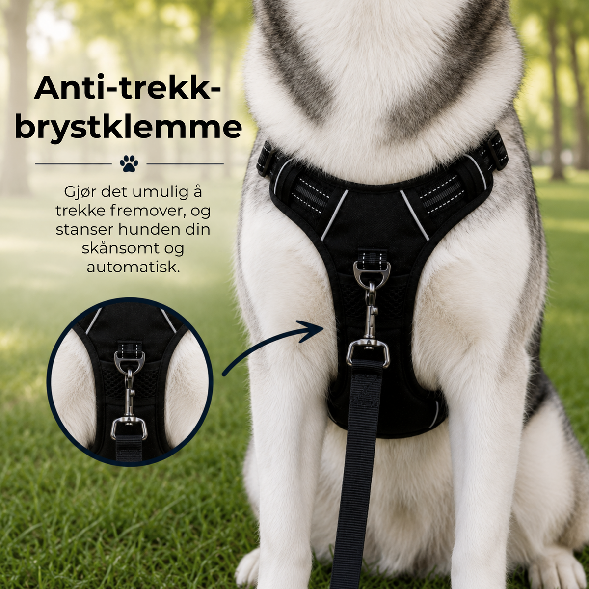 KomfortSele™ | Bedre kontroll. Roligere hundeturer