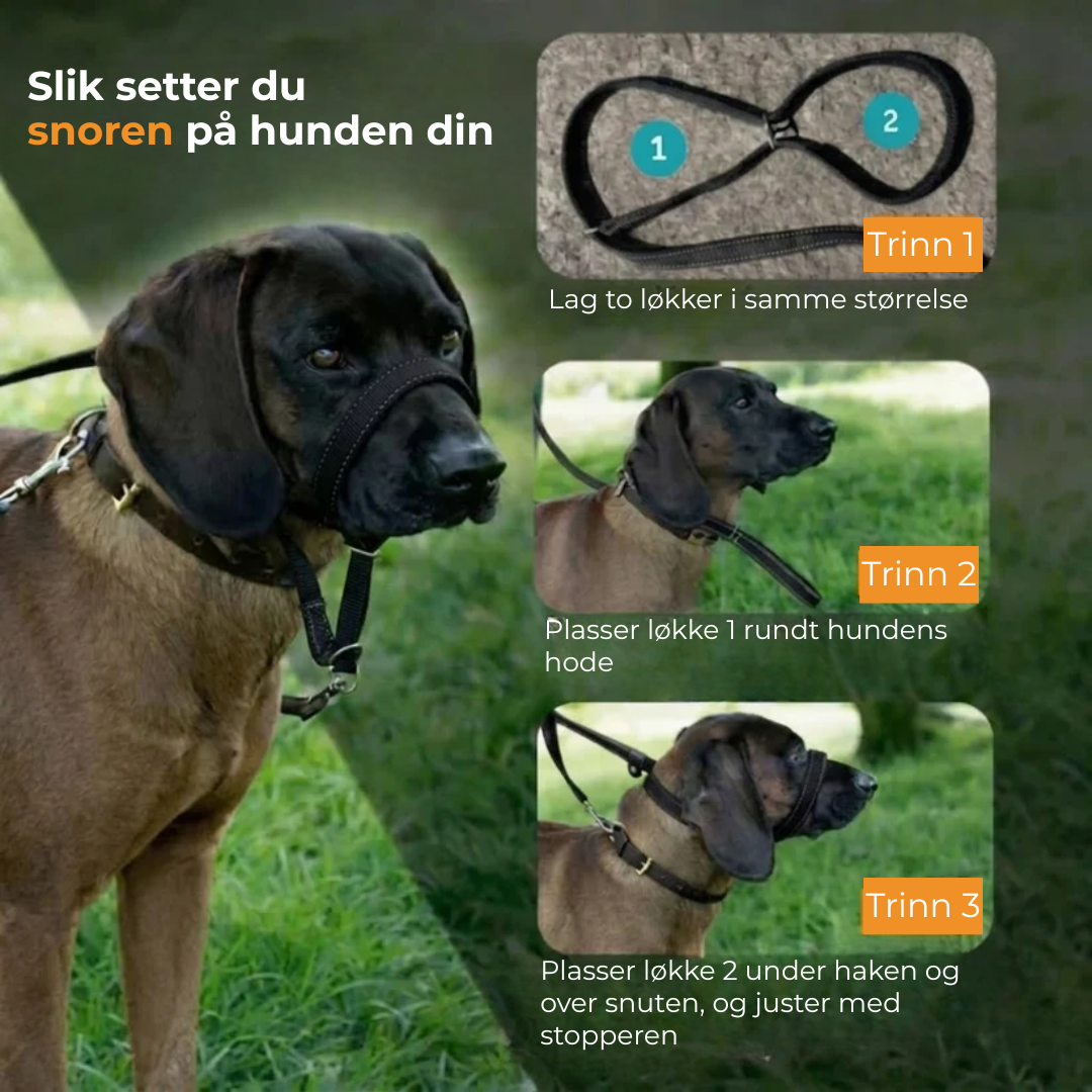 CalmLead™ | Hold kontroll på den store hunden din – trygt og enkelt!