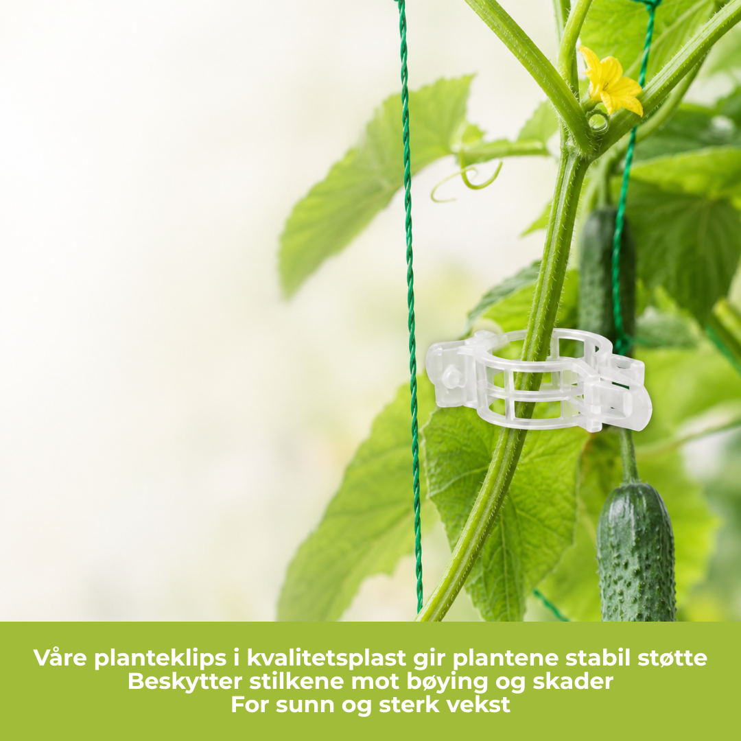 PlanteKlype™ | Gjenbrukbare støtteklemmer for hageplanter