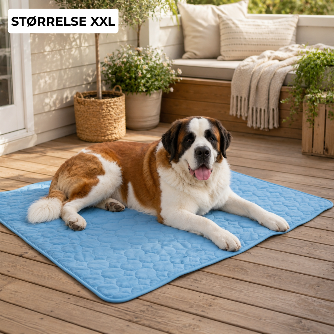 ChillPaw™ | Kjølematte for hund