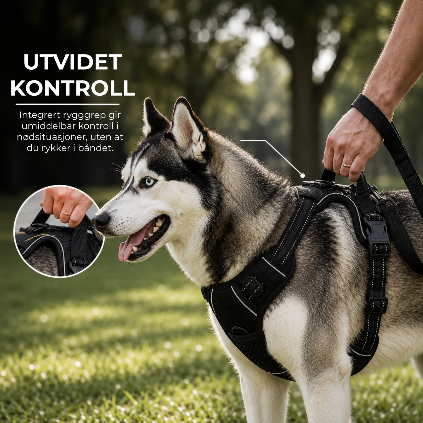 KomfortSele™ | Bedre kontroll. Roligere hundeturer