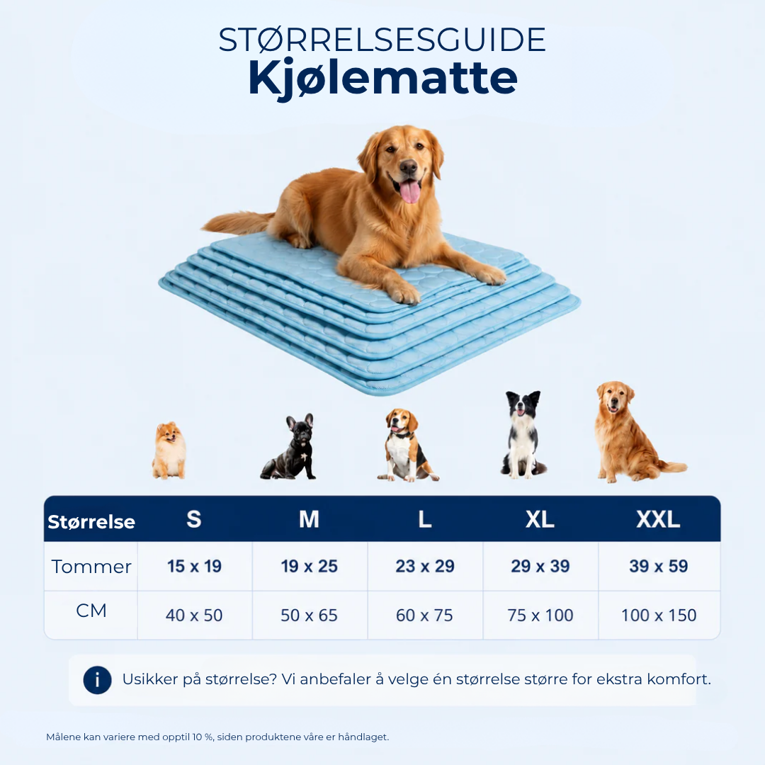 Størrelsesguide