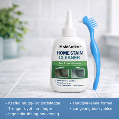 MoldStrike™ | Si farvel til mugg på minutter – raskt, enkelt og effektivt