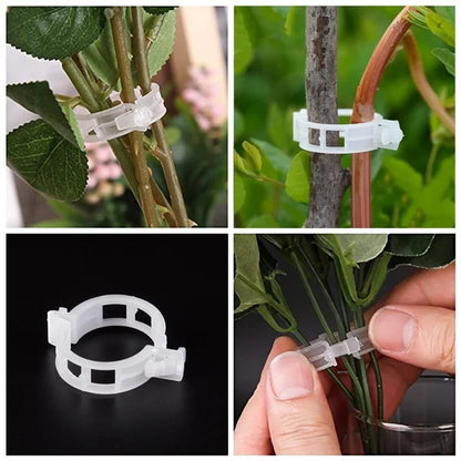 PlanteKlype™ | Gjenbrukbare støtteklemmer for hageplanter